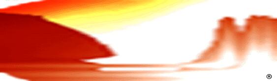 Canyon Computing Inc.  Consulting Services